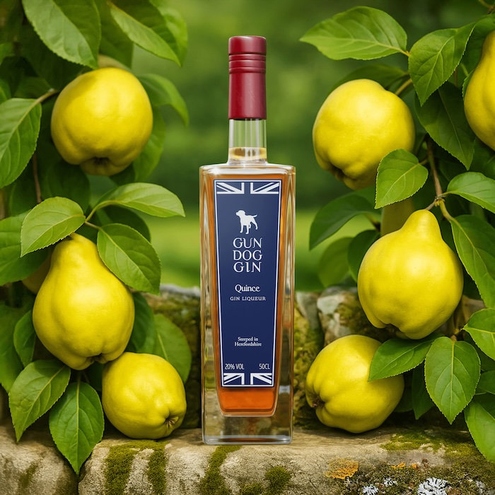 Quince Gin Liqueur (50cl)