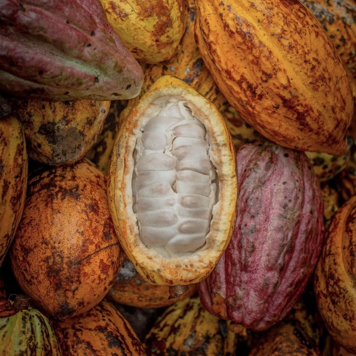 Superfood Cocoa : Cacao Pulp Drink (330ml)