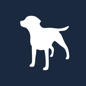 Gun Dog Gin